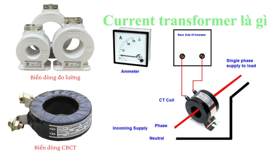Biến dòng là gì | Hải Phòng Tech