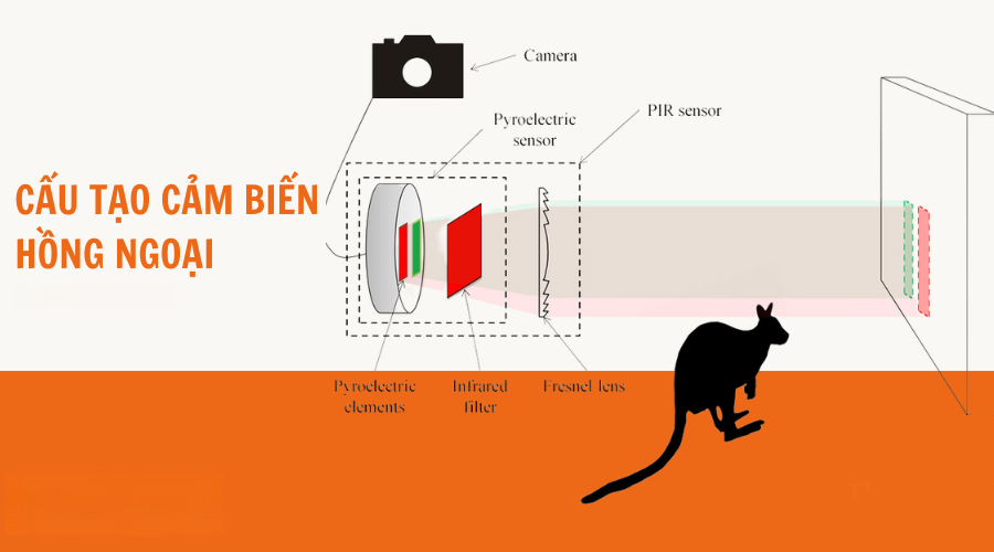 cau-tao-cam-bien-hong-ngoai_789 Hải Phòng Tech