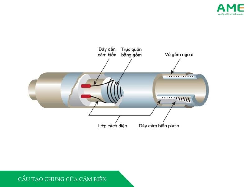 cau-tao-chung-cua-cam-bien Hải Phòng Tech