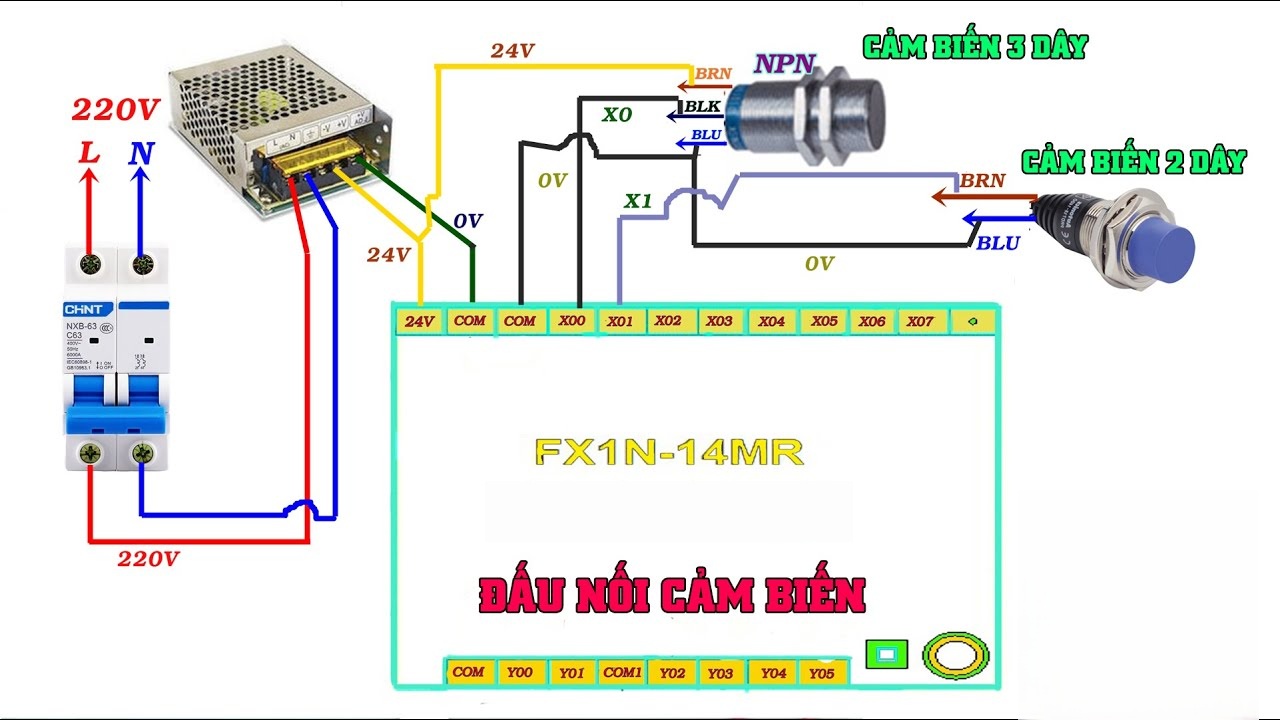 Sơ đồ kết nối cảm biến với PLC