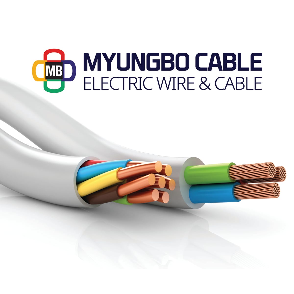 myungbo Hải Phòng Tech